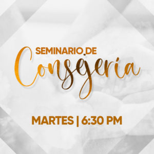 Seminario de Consejería